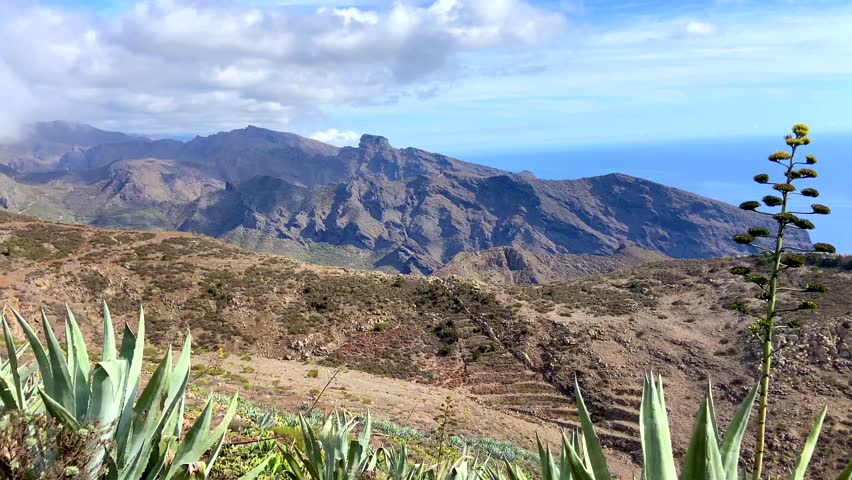 Beautiful view of Teno Alto volcanic landscape with Agave americana or Century plants growing wild in Tenerife,Canary Islands, Spain.Travel concept,4k