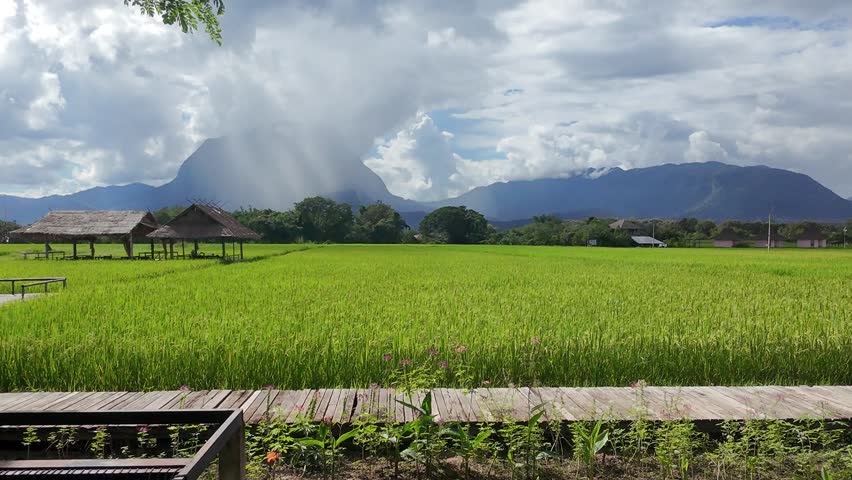 top view of chiang dao city where we can see beautiful green rice field river and doi luang chiang dao mountain travel destination of Chiangmai. Thailand 
