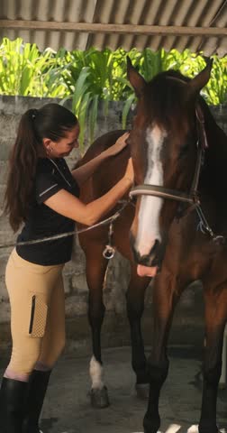 Young woman on a ranch in sports gear combing a horse coat with a special brush. Care and maintenance of a domestic horse. Preparation for horseback riding. Veterinary medicine and grooming.
