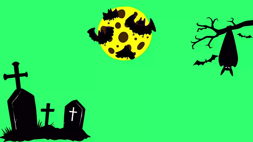 Animation yellow moon and black bat Halloween frame with green screen.