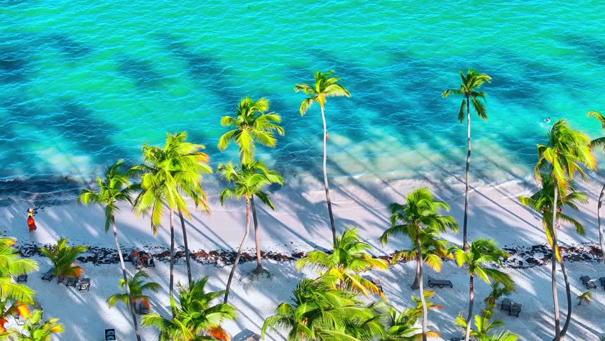 Maldives beach and blue sea. Travel to tropical paradise. Summer vacation in Indian Ocean. Maldives island with coconut palms on sunny sea beach. Landscape of tropical beach with white sand.