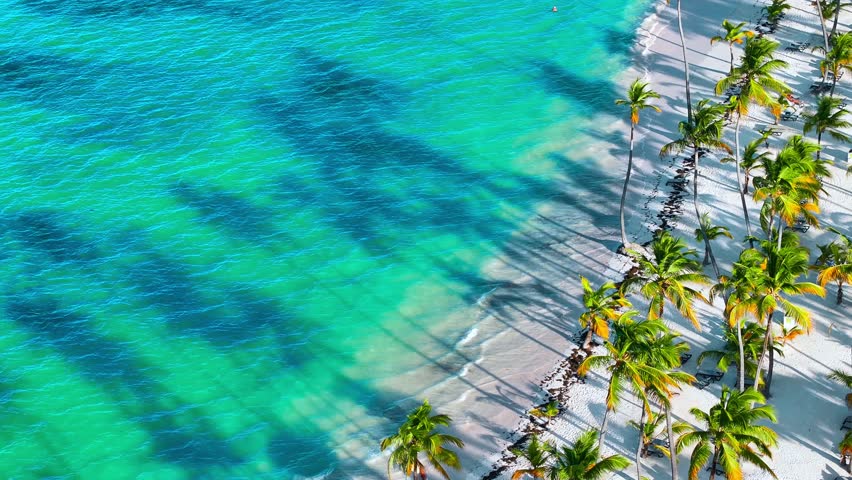 Sunny Mexican wild palm beach. Turquoise sea water and white sand. Beautiful palm trees with bright leaves bend over a tropical beach with white coral sand. Trip to the summer tourist coast.
