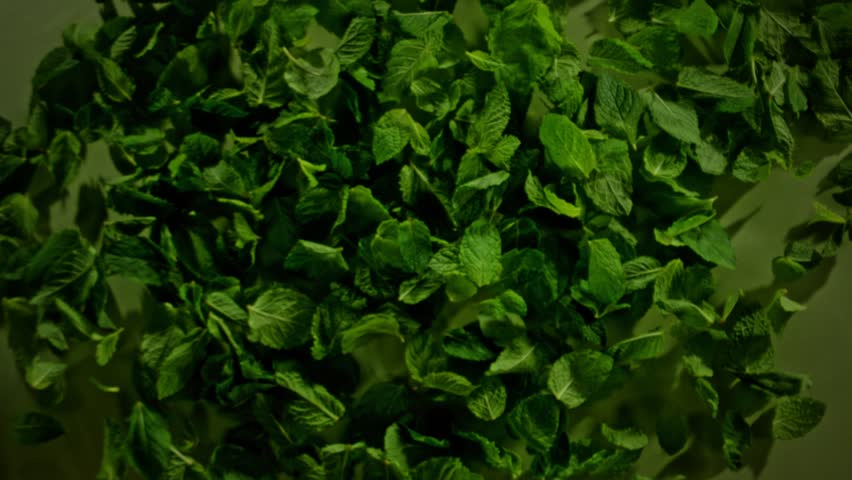 Super Slow Motion Shot of Fresh Mint Leaves Exploded Towards Camera at 1000fps.