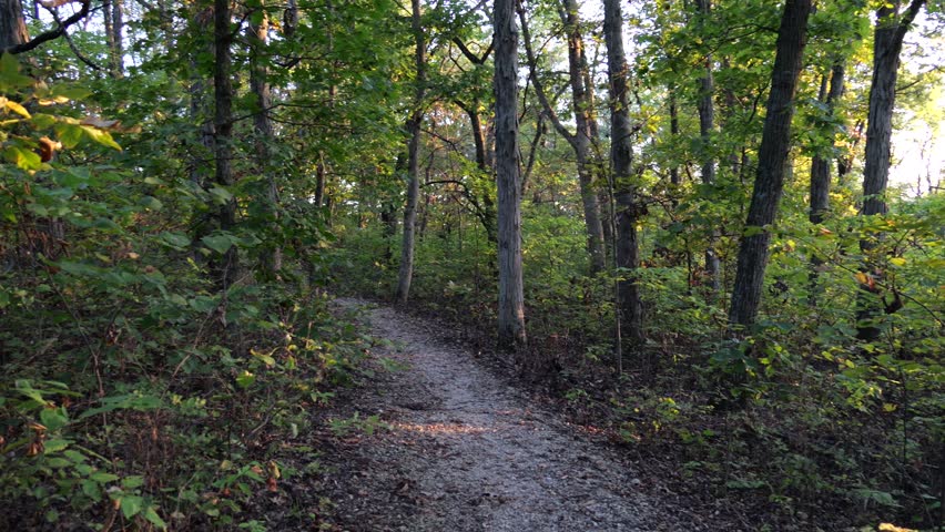 Rough Terrain and Hills on the Dirt Walking Trails of Hillsdale Lake Public Park
