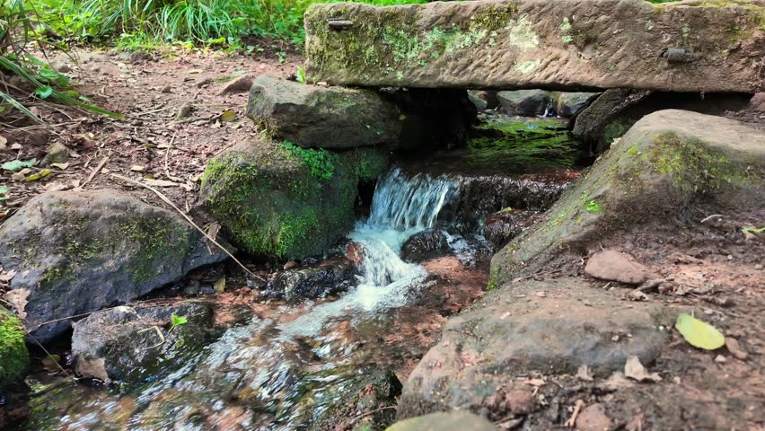 A small mountain river runs under the bridge