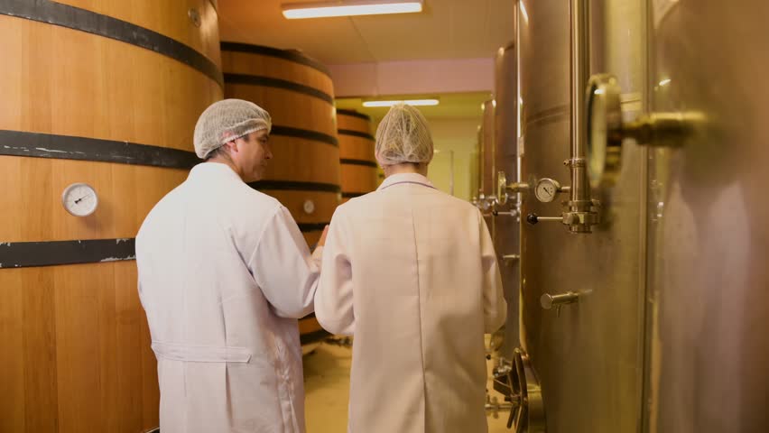 Professional winemaker controlling wine making process and quality at winery factory
