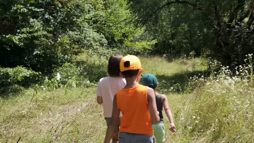Three children exploring a forest trail on a sunny day in nature. kids walking in the nature, discovering the beauty of the outdoors.