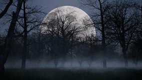 Halloween haunted dark woods forest at night time with fog, mist, full moon, and creepy trees 3D animation camera zoom in - Powered by Shutterstock - Get 15% off with code: PIKWIZARD15