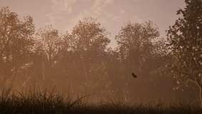 Forest in Autumn fall season with fog, rain falling and butterflies flying 3D animation static camera low view - Powered by Shutterstock - Get 15% off with code: PIKWIZARD15