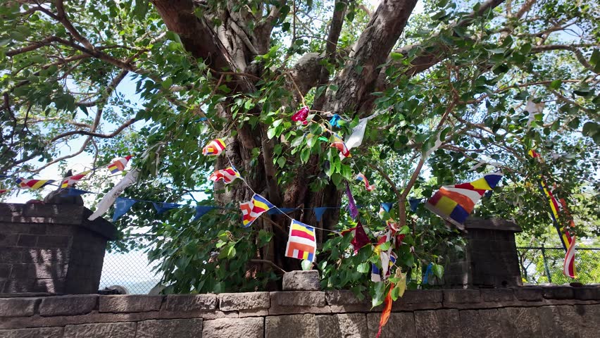 Colorful Buddhist flags adorn a tree near the historic Dambulla Cave Temple in Sri Lanka, on a sunny day. Symbolizing peace and spirituality in a natural setting.