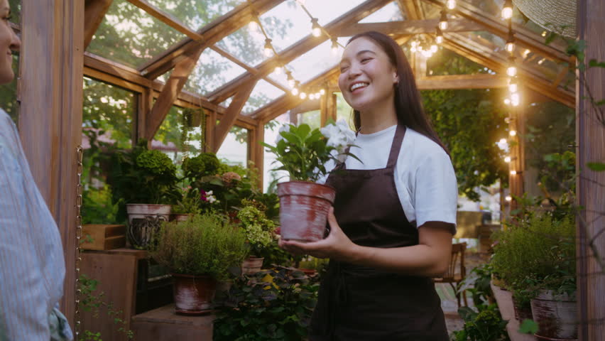 Positive asian woman giving flower in container to caucasian female after selling item at local orangery. Cute worker interacting with client of shop and waving goodbye after pleasant deal.