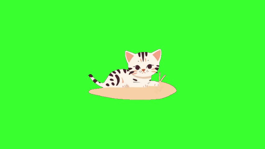 Animation set, cat icon with transparent background. cats icon animation 4K.	