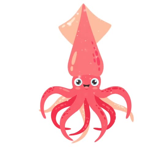 Cute Squid Vector Animation Graphic