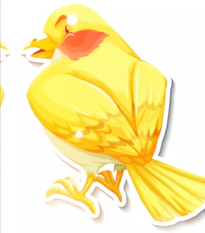 Cute Bird Vector Graphic Animation