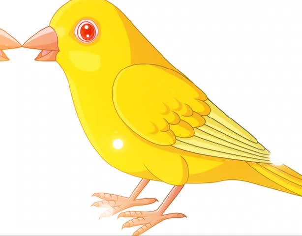 Cute Yellow Bird Vector Animation