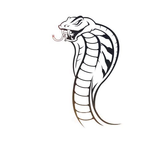 White Cobra Vector Graphic Animation