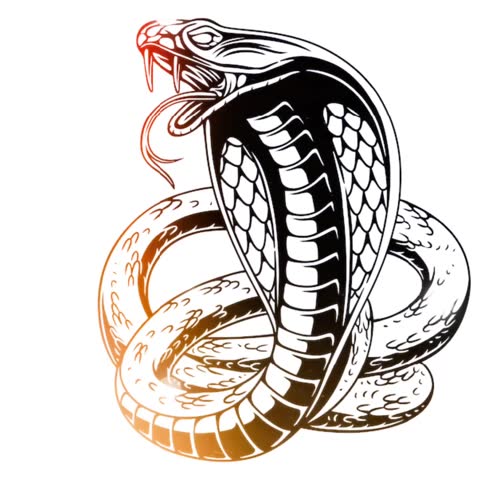 White Cobra Vector Graphic Animation
