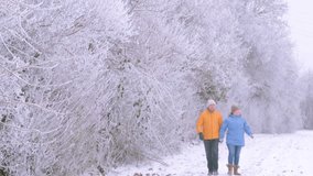 happy mature couple strolls along wintery park path, woman and man enjoys peaceful winter walk, love and joy outdoors, togetherness in snowy park, serene joy season, enduring love - Powered by Shutterstock - Get 15% off with code: PIKWIZARD15