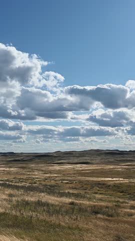 Vertical format of dry grass blowing in a strong wind with hills and sky in the background

