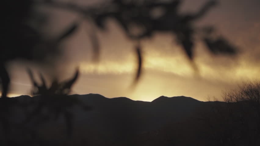 Sunset in rural area with silhouette of mountains and tree leaves in foreground. Environmental conservation. Argentina.