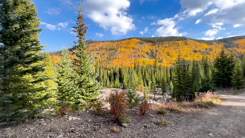 Fall colors in Breckenridge, Colorado