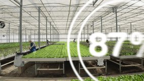 Drone shot of high tech agricultural greenhouse controlled by automatized technology parameters, AR visualization. AR hologram statistics over certified organic eco friendly farm crops - Powered by Shutterstock - Get 15% off with code: PIKWIZARD15
