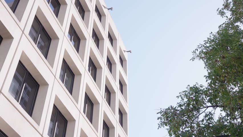Static shot of modern grey office building with symmetrical windows and waving tree