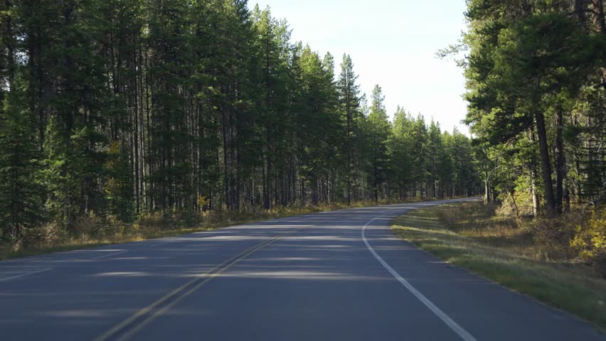 Scenic country mountain road in autumn color forest against blue sky. Bow Valley Parkway ( Highway 1A ), Banff National Park, Alberta, Canada. Canadian Rockies beautiful natural scenery.