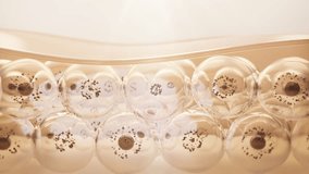 Animation serum through the skin layer and reduce up saggy skin of the skin cell. Serum for lightening Dark skin tone changed to bright and repair wrinkles. 3D rendering. - Powered by Shutterstock - Get 15% off with code: PIKWIZARD15