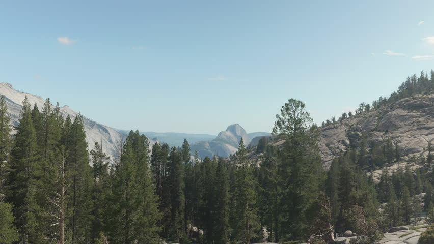 Yosemite National Park, landscape with trees and mountains. California, USA.
