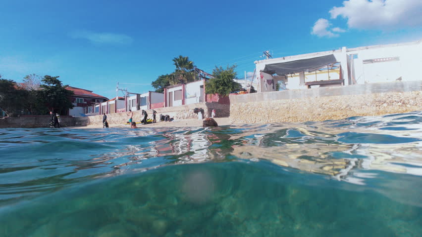 Brown Labrador dog swimming underwater catching rocks in slow motion