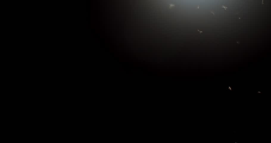 Creepy swarm of flying insects under a street light at night. Bugs swarming, real insect wildlife, or scary Halloween background.