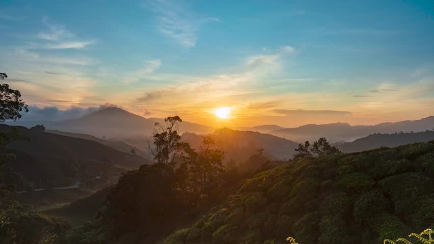 beautiful sunrise at the tea plantation cameron highlands, malaysia