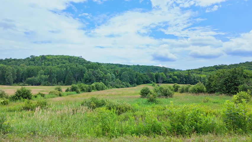 Driving plate front left side driver point of view. Car pov. Driver window side driving view. ON-11, Burk's Falls, Pickerel Lake POV driving on Ontario Highway 11 passing lush green forests.