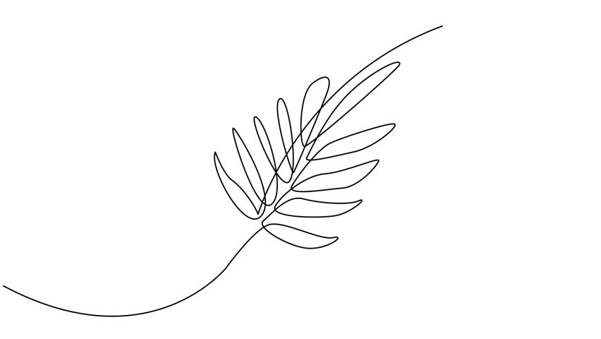 leaf of plant one line drawing. Vector illustration in continuous line style.
