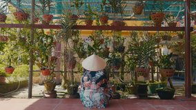 Asian person in conical hat working in the garden. Back view. Distant view. - Powered by Shutterstock - Get 15% off with code: PIKWIZARD15