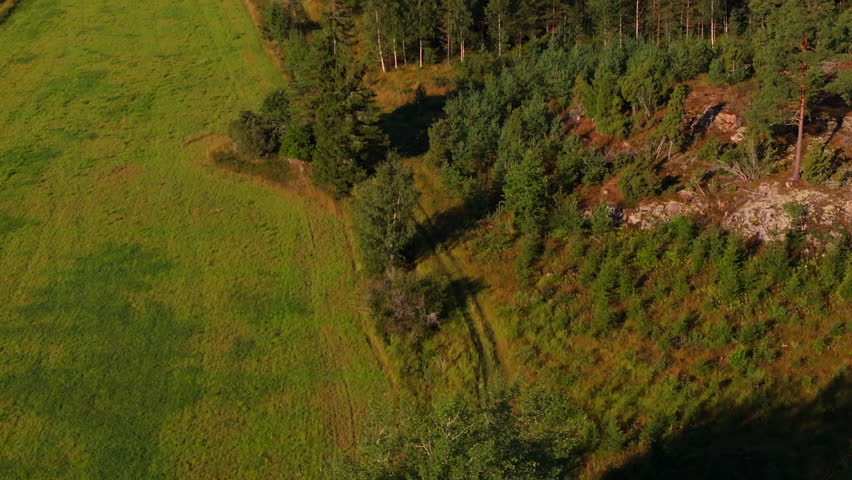 Aerial perspective of a lush green meadow and a dense forest. A hiking trail winds its way through the trees, offering a serene escape into nature