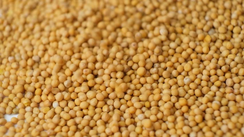 Mustard seeds falling on a pile slow motion