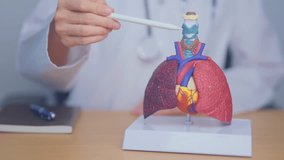 Doctor pointing Thyroid of Respiratory system anatomy for Diseases. Lung Cancer, Asthma, Chronic Obstructive Pulmonary or COPD, Bronchitis, Emphysema, Cystic Fibrosis, Bronchiectasis and Pneumonia - Powered by Shutterstock - Get 15% off with code: PIKWIZARD15