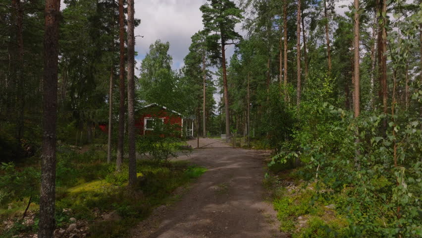 Aerial views showcase a dirt road winding through a lush Scandinavian forest, leading to a charming red wooden house, embodying the essence of rural tranquility and scenic beauty