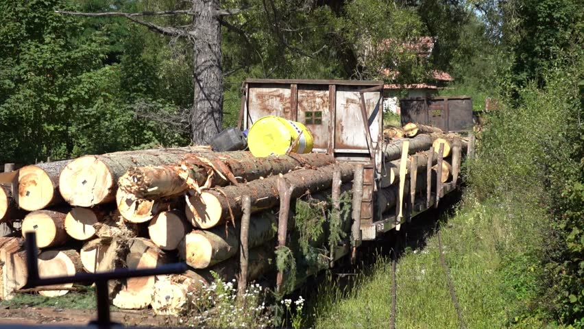 train locomotive carries felled timber. Tree trunks in wagons. Logs, firewood. Deforestation in mountain