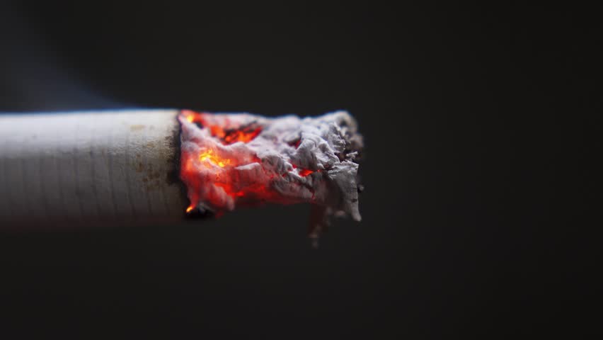 Burning cigarette and emits smoke from a lit cigarette. Macro video of a burning cigarette and smoldering close-up on a black background