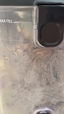 Maggots crawling through the bag of a vacuum cleaner.
