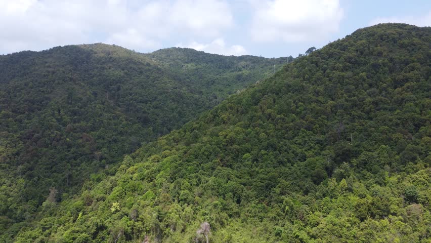 Beautiful view of the large mountains in South Kalimantan which are filled with trees, mountains lined up