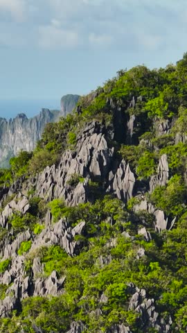 Shutterstock Video