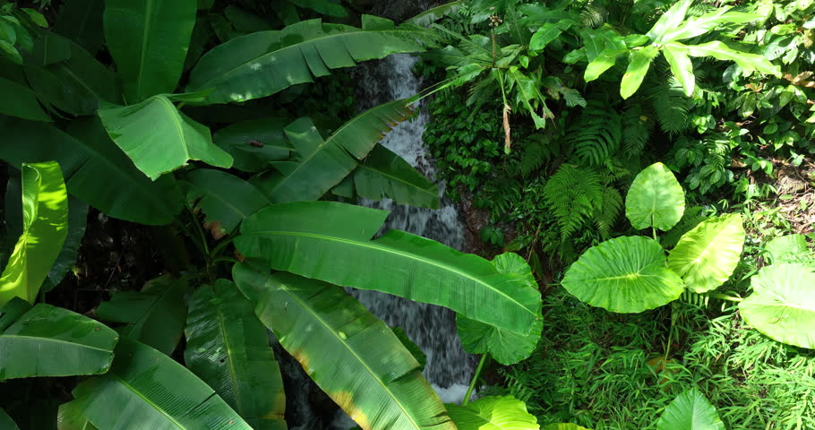 Aerial footage of beautiful tropical forest mountain landscape in summer
