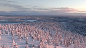 AERIAL: Sunlit winter landscape with pink, snow covered trees and arctic wilderness - Powered by Shutterstock - Get 15% off with code: PIKWIZARD15