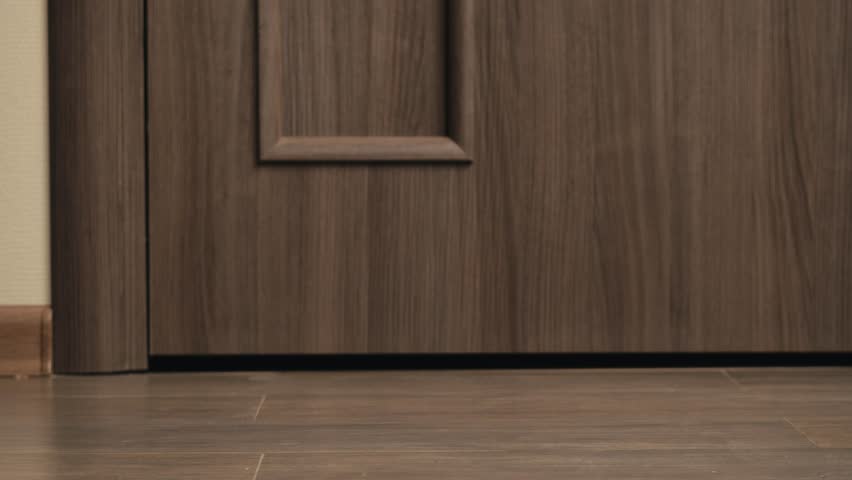 Food and goods delivery box, contactless online shopping, volunteer courier delivers parcel a to door of home, logistics door to door deliver, e-commerce purchase.