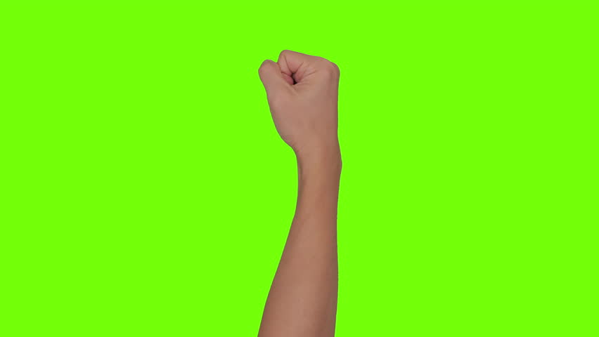 Shutterstock Video