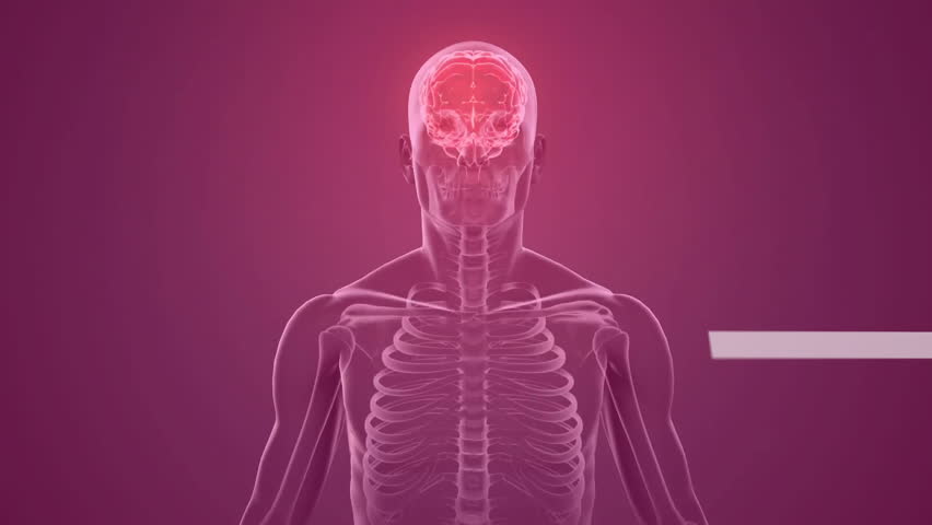 Animation of element diagrams over male x ray scan with glowing brain. Science, medical research, digital interface, data and communication, digitally generated video. - Powered by Shutterstock - Get 15% off with code: PIKWIZARD15